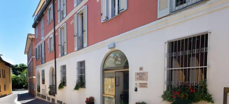 德提格力酒店(Hotel Dei Tigli)图片