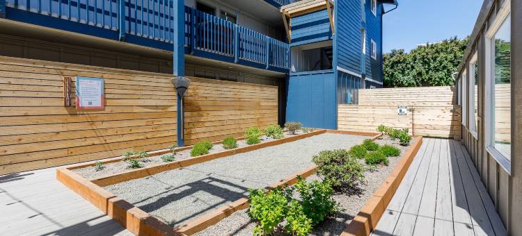 冲浪岛酒店(Surfland Hotel)图片