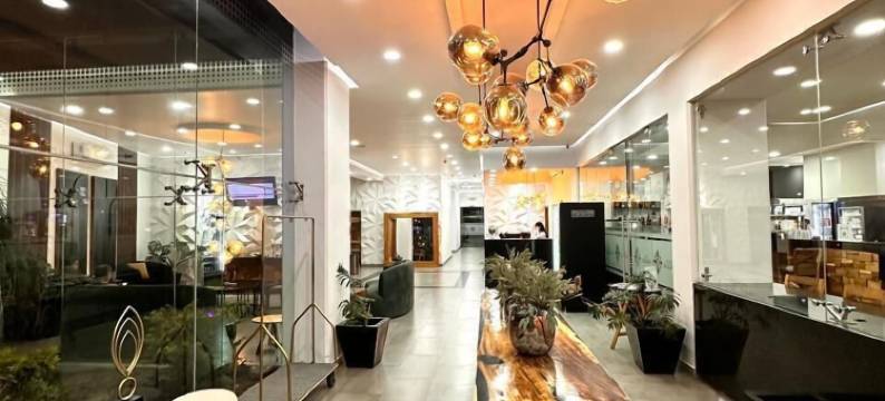 布加里机场酒店瓜达拉哈拉(Hotel Bugari Aeropuerto Guadalajara)图片