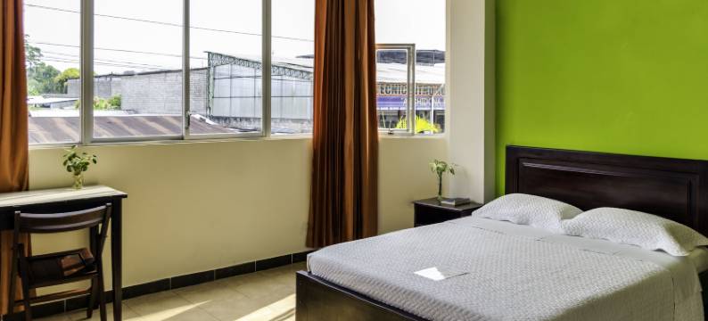 帕尔马尔德尔里奥高级酒店(Hotel Palmar del Río Premium)图片