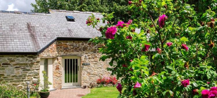 普卢姆菲泽斯住宿加早餐旅馆(The Plume of Feathers)图片