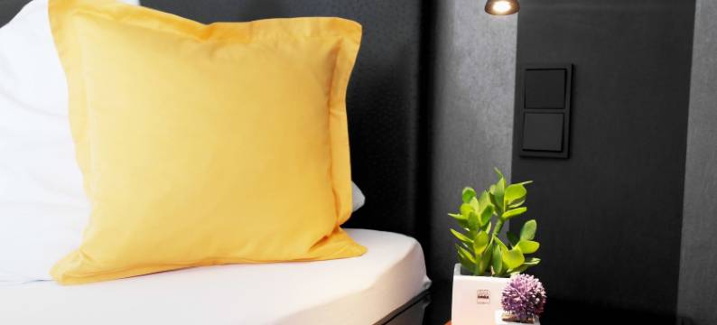 布洛尔法桑酒店(Hotel Blauer Fasan)图片