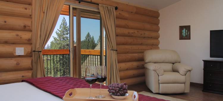 康特伍德旅馆(Courtwood Inn)图片