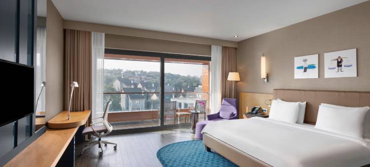 伊斯坦布尔图兹拉丽笙蓝标水疗酒店(Radisson Blu Hotel Spa Istanbul Tuzla)图片