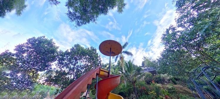 瓦亚纳德溪流皇家酒店(Wayanad Royal Stream)图片