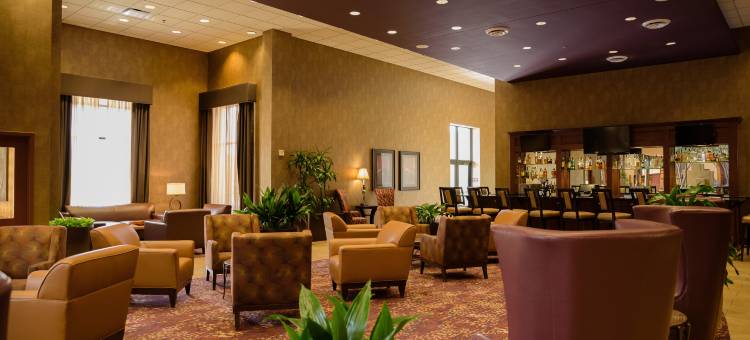 明尼阿波利斯北希尔顿安泊酒店(Embassy Suites by Hilton Minneapolis North)图片