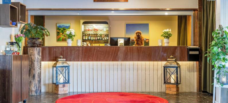 孔约斯塔酒店(Hotell Kung Gösta by First)图片