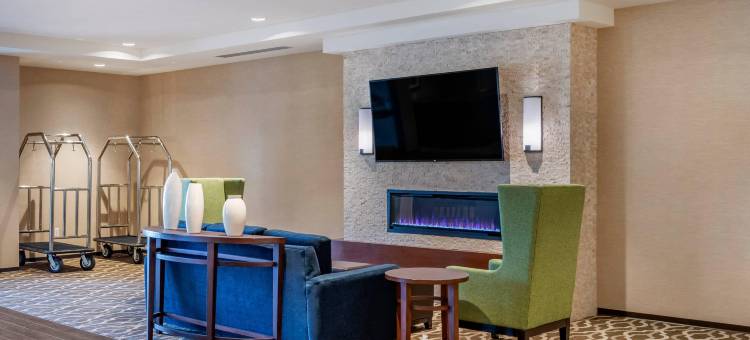 舒适套房酒店(Comfort Inn & Suites)图片