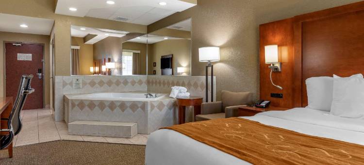 大急流城南舒适套房酒店(Comfort Suites Grand Rapids South)图片