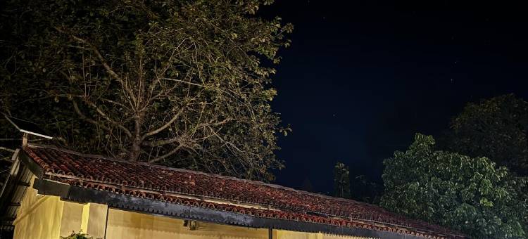 巴迪亚森林度假村(Bardia Forest Resort)图片