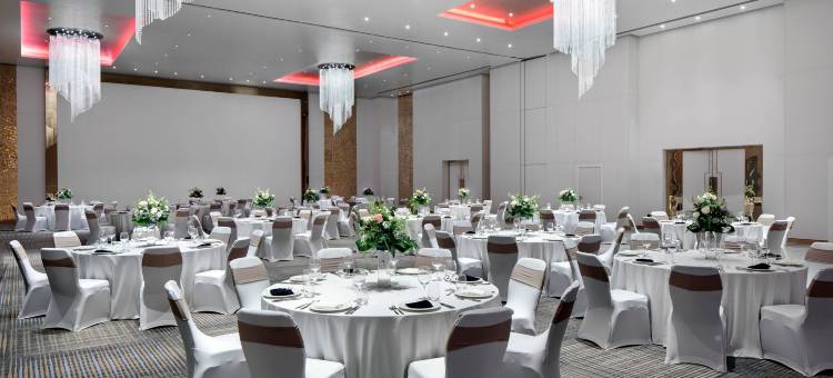 拉各斯伊凯贾万豪酒店(Lagos Marriott Hotel Ikeja)图片