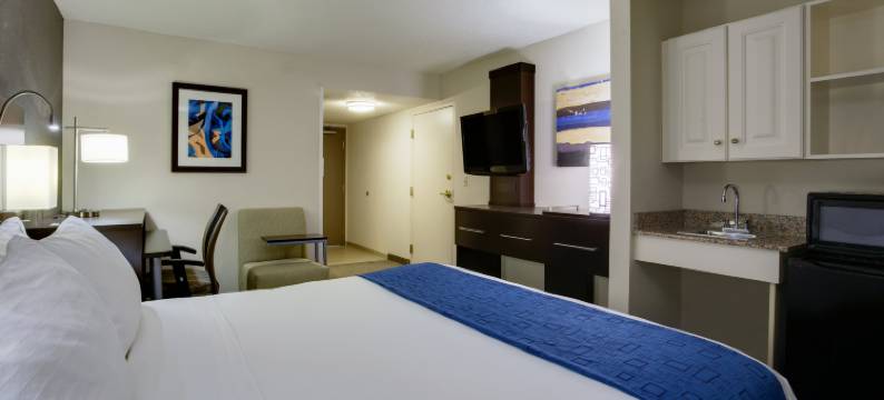 梅多兰兹地区智选假日套房酒店(Holiday Inn Express & Suites MEADOWLANDS AREA by IHG)图片