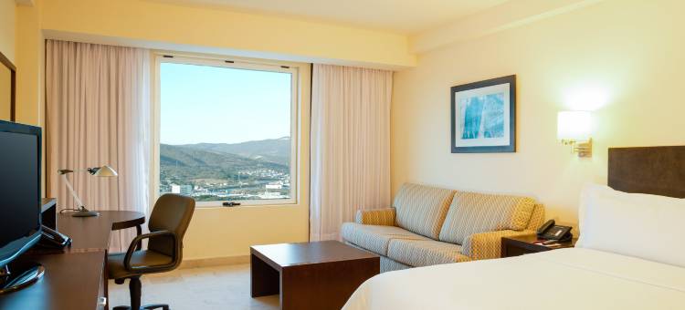 图斯特拉-古铁雷斯嘉年华酒店(Fiesta Inn Tuxtla Gutierrez)图片