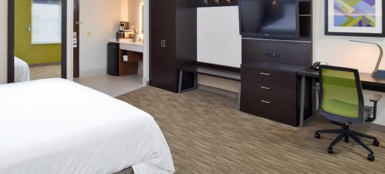 Holiday Inn Express 威克瑟姆(Holiday Inn Express Wixom)图片