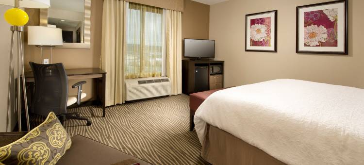 查塔努加/汉密尔顿广场欢朋套房酒店(Hampton Inn & Suites Chattanooga/Hamilton Place)图片