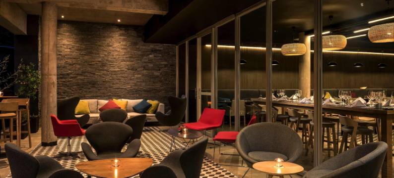 圣地亚哥普罗维登西亚诺富特酒店(Novotel Santiago Providencia)图片