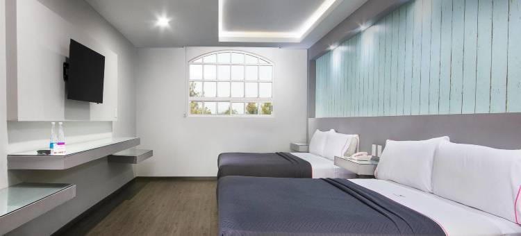 墨西哥城国会MX酒店，璀蔓臻选温德姆(Hotel MX congreso CDMX, Trademark Collection by Wyndham)图片