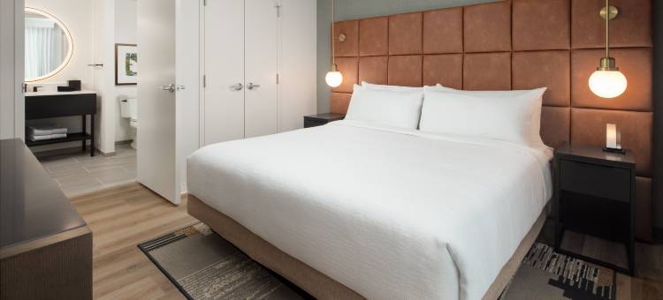 查塔努加市中心希尔顿惠庭套房酒店(Embassy Suites by Hilton Chattanooga Downtown)图片