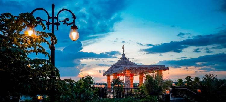 梅菲尔Purnea(Mayfair Purnea)图片