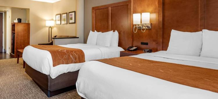 伯利恒舒适套房酒店-近利哈伊大学和LVI机场(Comfort Suites Bethlehem Near Lehigh University and LVI Airport)图片