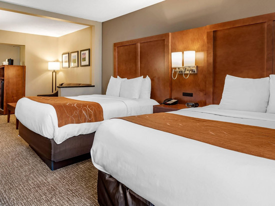 伯利恒舒适套房酒店-近利哈伊大学和LVI机场