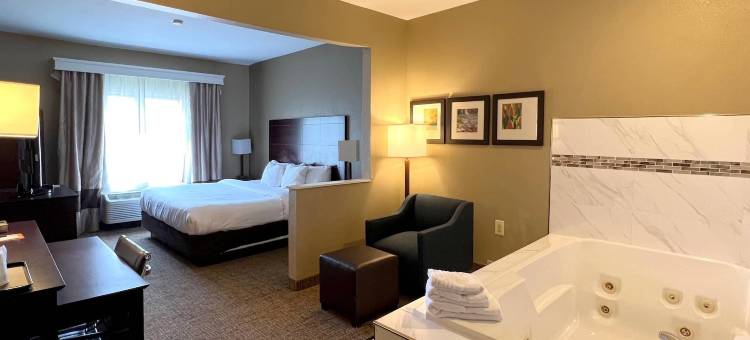 北部舒适套房酒店(Comfort Suites North)图片