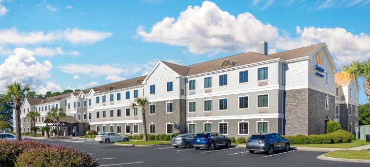 舒适酒店及套房(Comfort Inn & Suites)图片