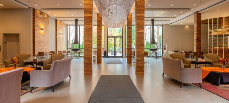 白山钱德勒酒店-阿桑德连锁酒店会员(The Chandler at White Mountains, an Ascend Hotel Collection Membe)图片