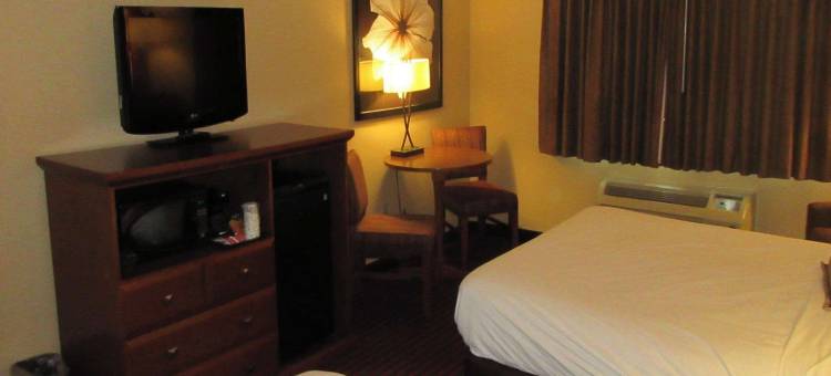 品质酒店及套房(Quality Inn & Suites)图片
