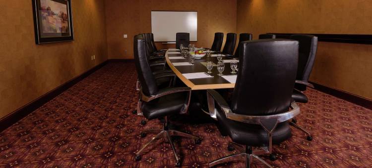 明尼阿波利斯北希尔顿安泊酒店(Embassy Suites by Hilton Minneapolis North)图片