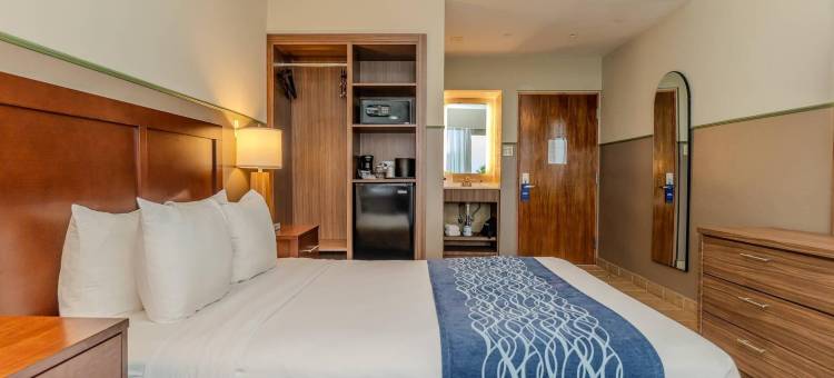 舒适套房酒店(Comfort Inn & Suites)图片