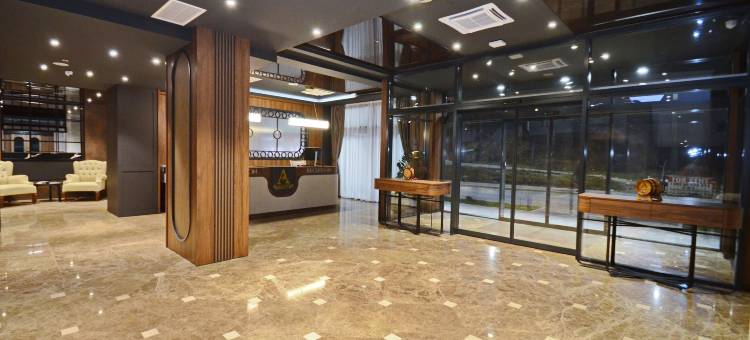 亚历山大会议及水疗酒店(Hotel Aleksandar conference & spa)图片