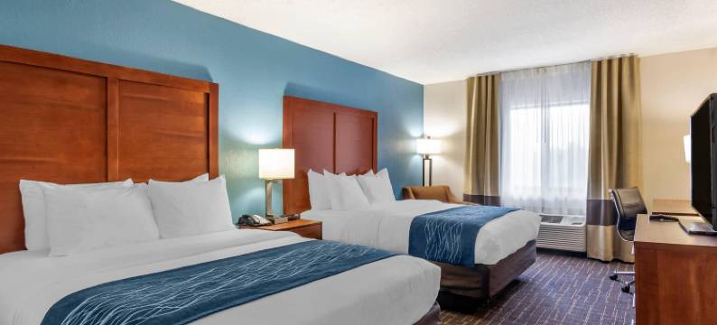 利斯萨米特舒适套房酒店-堪萨斯城(Comfort Inn & Suites Lees Summit - Kansas City)图片