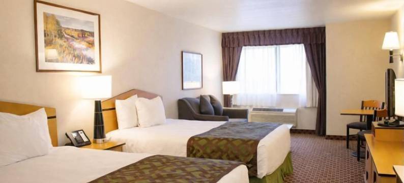 格雷特瀑布水晶套房酒店(Crystal Inn Hotel & Suites - Great Falls)图片