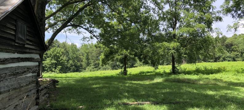 大烟山浪漫手作小屋酒店(Smokey Mtn. Romantic Handcrafted Cabins)图片