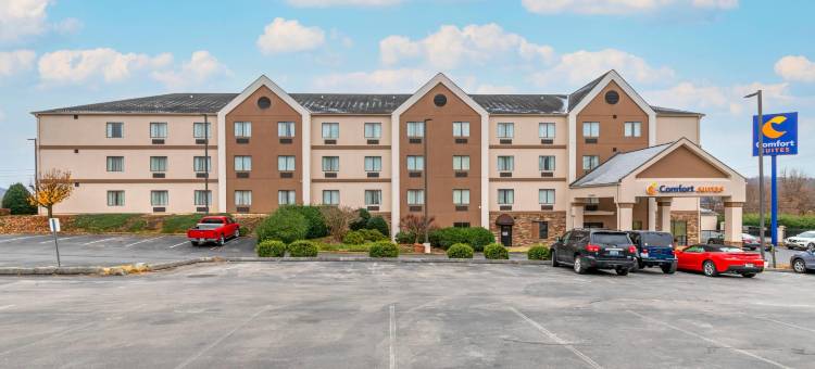 约翰逊城舒适套房酒店-近大学城(Comfort Suites Johnson City Near University)图片