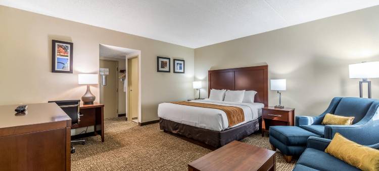 费斯特-南圣路易斯舒适酒店(Comfort Inn Festus-St Louis South)图片