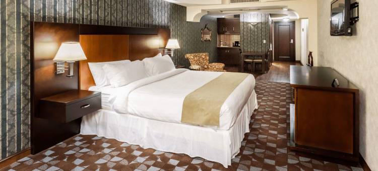 圣马丁广场酒店(Hotel Plaza San Martin)图片