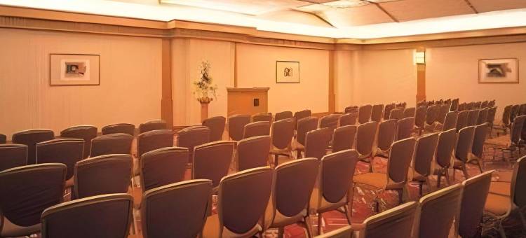 柏Crest酒店(Crest Hotel Kashiwa)图片