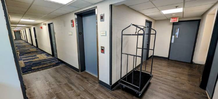 芝加哥威罗布鲁克拉昆塔温德姆酒店(La Quinta Inn by Wyndham Chicago Willowbrook)图片