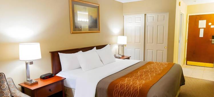 新荷兰阿米什乡村舒适酒店(Comfort Inn Amish Country)图片