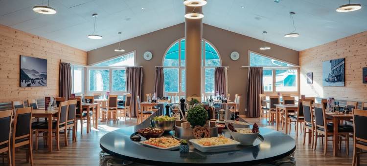 拉萨尔莱阿尔佩蓝色俱乐部度假酒店(Club Vacances Bleues les Alpes d'Azur)图片