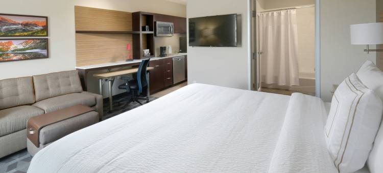 丹佛南/隆特利TownePlace套房酒店(TownePlace Suites Denver South/Lone Tree)图片