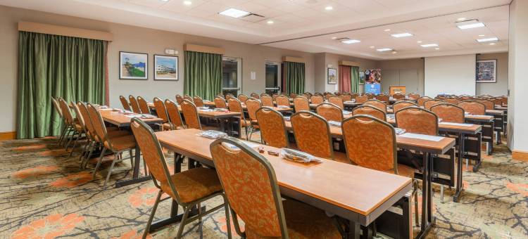 芝加哥廷莱公园希尔顿花园酒店(Hilton Garden Inn Chicago/Tinley Park)图片