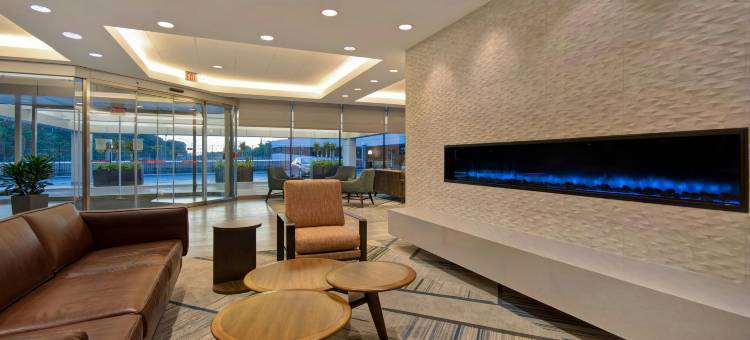 波士顿纽顿福朋喜来登酒店(Four Points by Sheraton Boston Newton)图片