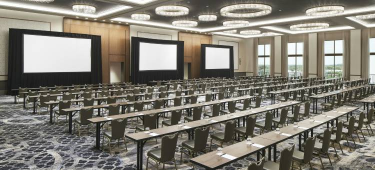 洛伊斯珊瑚山墙酒店(Loews Coral Gables Hotel)图片
