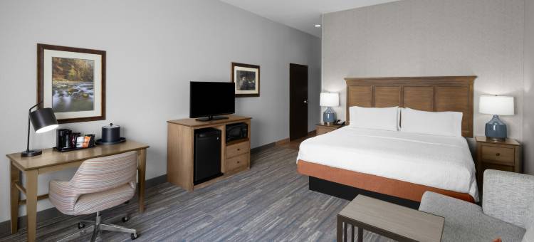 斯普林代尔-锡安国家公园欢朋酒店及套房(Hampton Inn & Suites Springdale/Zion National Park)图片