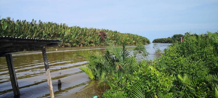 萨穆尔附近的传统渔民村(Traditional Fisherman Village Near Samur)图片
