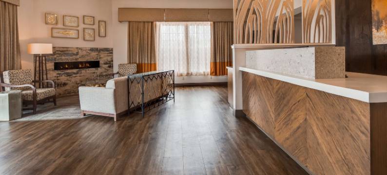 海岸贝斯特韦斯特优质酒店(Best Western Plus Bayshore Inn)图片