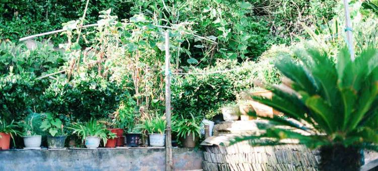 白沙岛海福来客栈图片